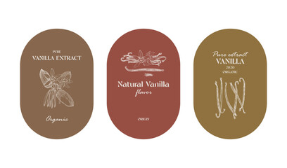 Fototapeta premium Vanilla labels collection in vintage style