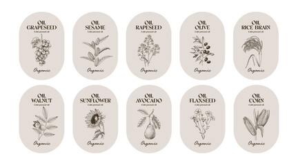 Set of plant oil labels vector