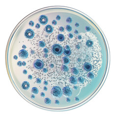 A petri dish containing diverse microbial growth with various bacteria and colonies.