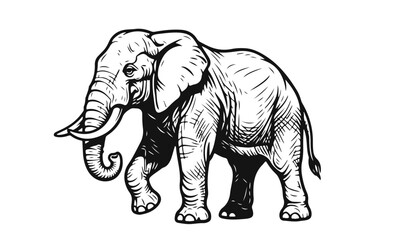 Black and white elephant silhouette in side view with strong contours and minimal details on white background. elephant silhouette, animal silhouette, african elephant, wildlife icon