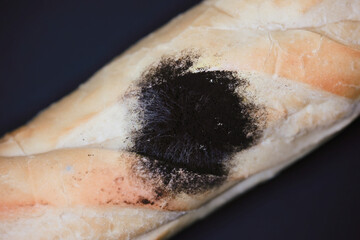 Macro Shot Of A Spoiled White Bread Bun Covered With A Large Spot Of Black Toxic Mold. Concept Of Food Waste And Decay.