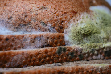 Close Up Texture Of Spoiled Rye Bread Slices With Spreading Green And White Fungus. Detailed View Of Food Spoilage.