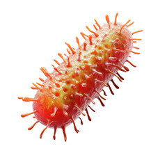 A 3D bacteria model showing surface features and spikes, representing pathogen infection.