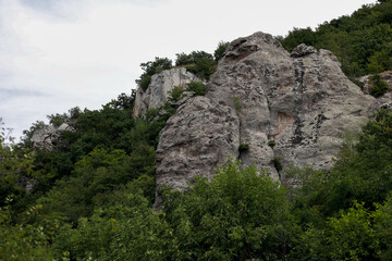 A Massive Stone Cliff Stands Prominently Surrounded By Lush Green Vegetation. This Landscape Shot Captures The Rugged Beauty Of Mountain Geology And Natural Terrain.