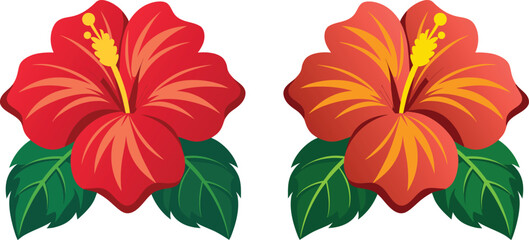 Vibrant orange hibiscus flowers with green leaves