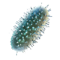 A detailed, bacterial-like viral cell with spiny protrusions.