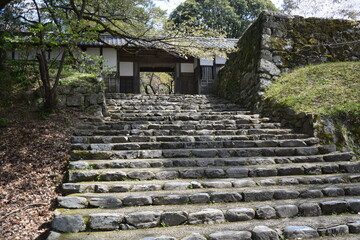 日本の神社へと続く趣のある古い石段と木造の門