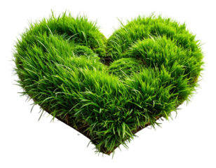 Lush green grass sculpted into a heart shape on a transparent background