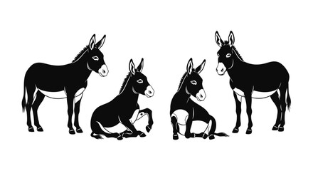 Fototapeta premium Donkeys standing and sitting with transparent background