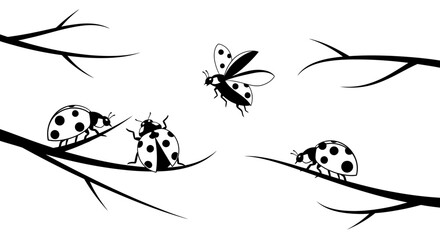 Ladybugs on branches with transparent background © LAILATUS