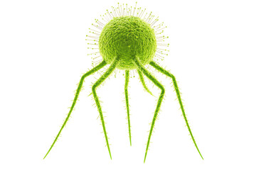 A green cell resembling a virus with extended appendages.
