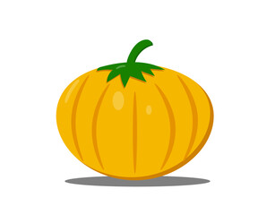 orange pumpkin on a white background,