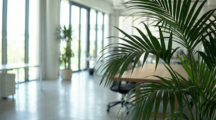 Fototapeta premium Palm plant with blurred background of an office room.