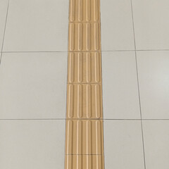 : Guiding Block of Blind Person