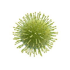 A green, spiny viral cell with radiating appendages.