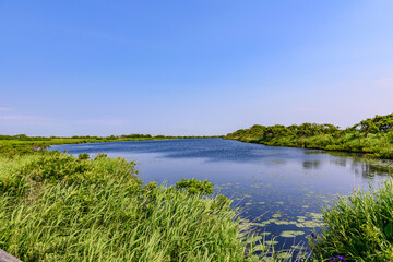 サロベツ原野を歩く
