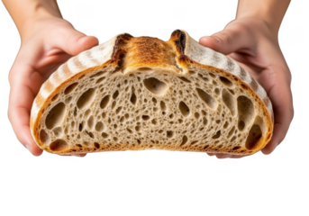 Closeup of a freshly baked artisan sourdough bread loaf, sliced in half, held by hands, isolated on transparent background