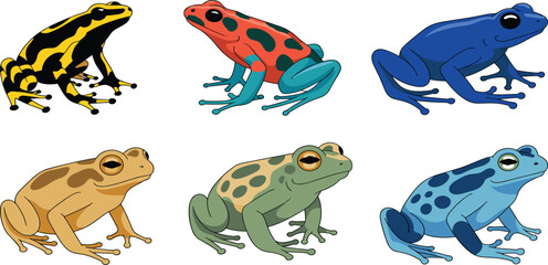Fototapeta premium Set of colorful tropical poison dart frogs and tree frogs, exotic amphibian wildlife vector illustration for nature design
