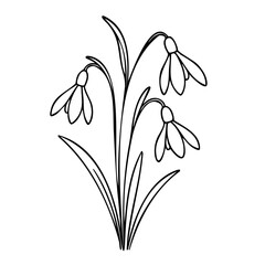 Obraz premium A drawing of a flower with three white petals. The flower is drawn in black and white