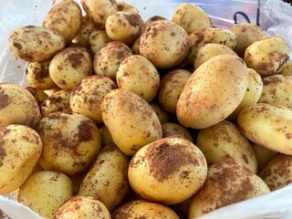 Potatoes on the market. Root vegetable texture. Large size potatoes. Market details.