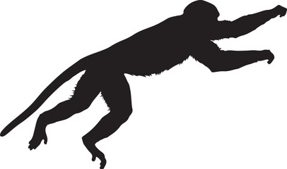 Monkey Silhouette
