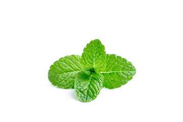 Mint leaf. Fresh mint on white background. © Роман Фернаті