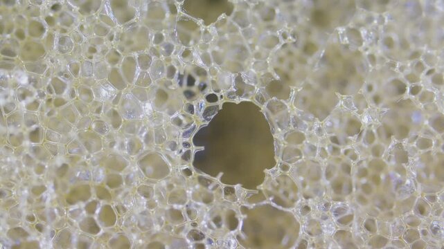 Closed-cell polyethylene sponge foam structure under microscope