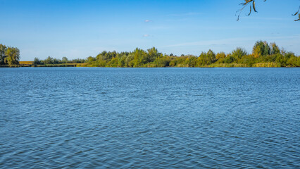 Summer lake in the wild