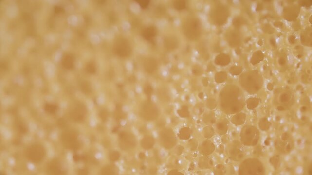 Closed-cell polyurethane sponge foam structure under microscope