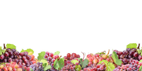 Red grape isolated