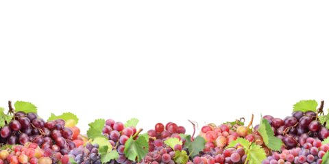 Red grape isolated