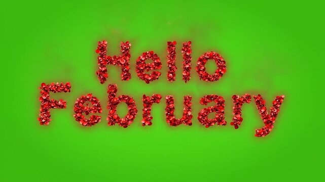 Hello February - A Floral Celebration of the Month of Love.