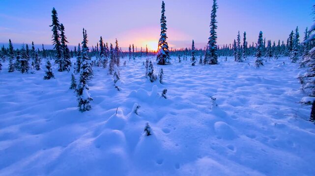 Winter Solstice in the Arctic