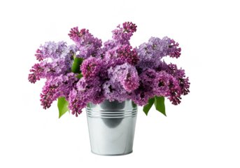 A beautiful bouquet of vibrant purple lilacs in a silver bucket, isolated on a transparent background, perfect for spring and floral themes
