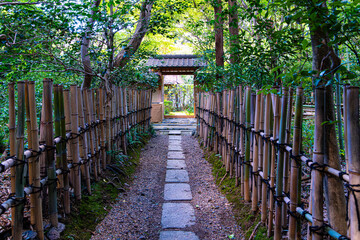 京都、厭離庵の参道
