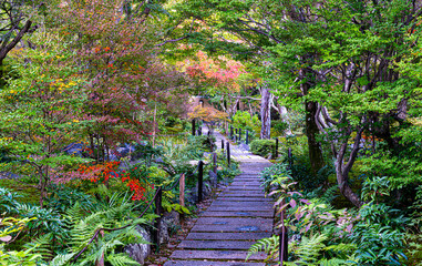 京都、宝筐院の庭園