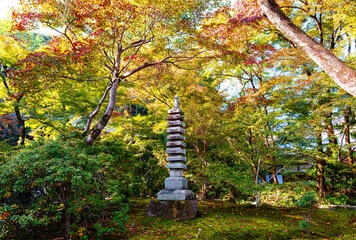 京都、宝厳院の獅子吼（ししく）の庭