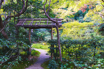 京都、厭離庵の庭園