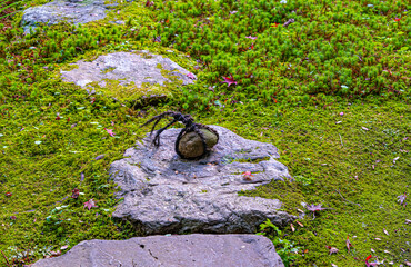 京都、厭離庵の止め石