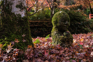 京都府大原三千院仏像紅に祈る