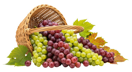 Grapes in a basket isolated on a transparent background