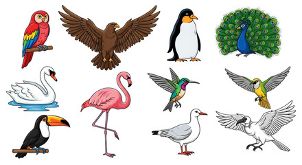 Obraz premium A colorful collection of diverse bird species illustrations on transparent background isolated on transparent background