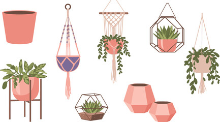 Assorted indoor plant pots and hangers