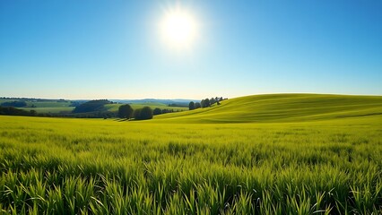 Fototapeta premium kentucky. Vast sunlit pasture with deep green grass and rolling hills under blue sky. travel magazines, destination branding, designed for travel destination branding.