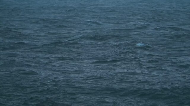 粉雪の振る荒れた海