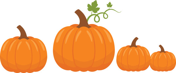 Pumpkin illustration set showing orange pumpkins with stems and leaves, autumn harvest vegetable design isolated on white background