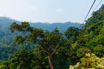 Travel adventure of Vietnam, cable cars over lush greenery in ba na hills, Da nang
