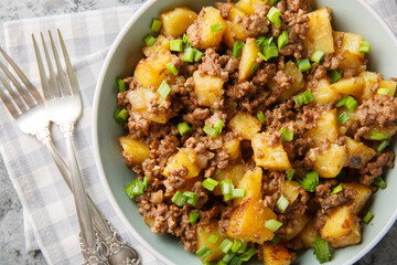 Fried potatoes with ground beef and green onions close-up in a plate on the table. Horizontal top view from above