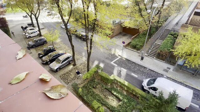 Oto&ntilde;o en ciudad con ca&iacute;da de hoja de &aacute;rbol, coche, casa y calle con circulaci&oacute;n desde ventana