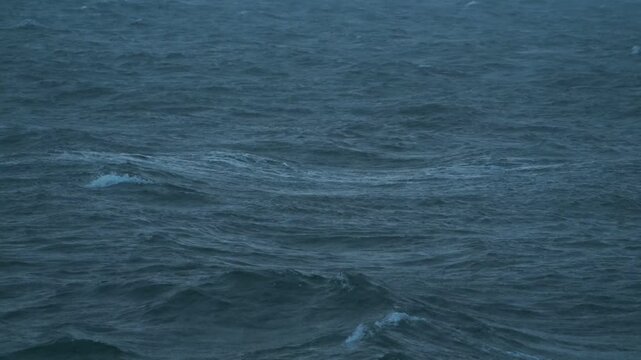 粉雪の振る荒れた海